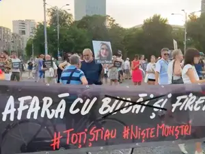 Protestatarii cer dreptate în scandalul azilelor groazei în fața Guvernului - Foto: Facebook/ Declic - Captură foto