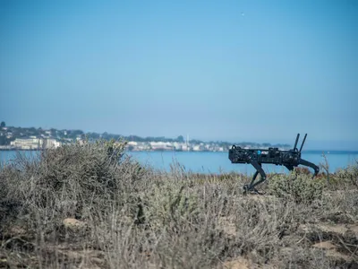 În lipsă de soldați, Ucraina vrea să își facă o armată de câini roboți care să lupte cu rușii - Foto: Profimedia Images - Imagine cu rol ilustrativ