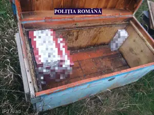 Foto: Poliția Română