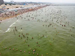 Marea Neagră plină de alge - Foto: Profimedia