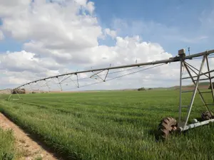 Fermierii vor putea beneficia de ajutor din partea statului în 2024. Sprijin pentru agricultură Foto: Profimedia Images (fotografie cu caracter ilustrativ)