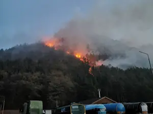 Incendiu este pe fondul forestier al comunei Oituz. FOTO: ISU Bacău