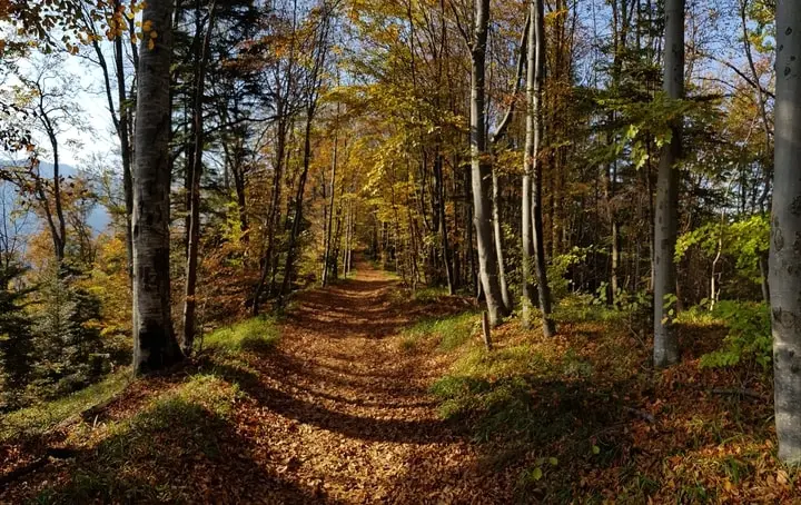 Foto: BrasovRomania.net