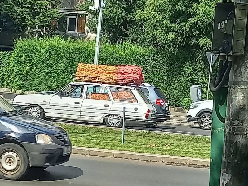 „Camionul” Dacia 1310 Break își face treaba și după 20 de ani. „Cocoșată” de cartofi și ceapă - Foto: Facebook/Masini Romanesti