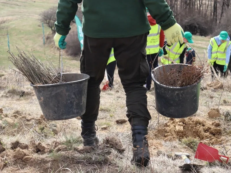 Fundația Pădurea de Mâine și-a atins obiectivul de a planta 1.000.000 de puieți în 5 ani.