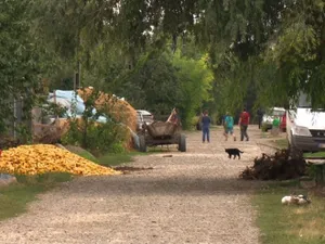 Satul-fantomă din România care păstrează încă vie memoria lui Eminescu. „Aici suntem doar noi”  - Foto: Arhivă / imagine cu caracter ilustrativ