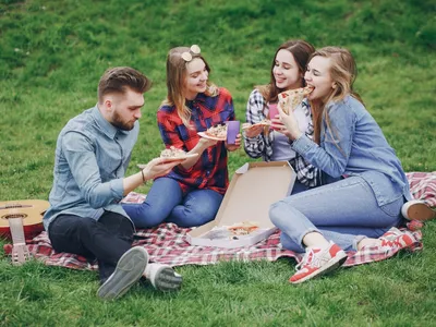 Mare atenție când ieșiți în parc sau la picnic. O insectă periculoasă răspândește boli fatale - Foto: Freepik (rol ilustrativ)