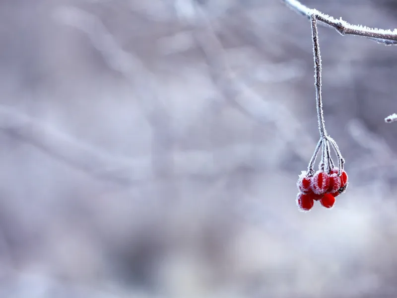 După frigul năprasnic din ultimele zile, vremea o ia din nou razna. La ce să ne așteptăm de acum Foto: Pexels (fotografie cu caracter ilsutrativ)