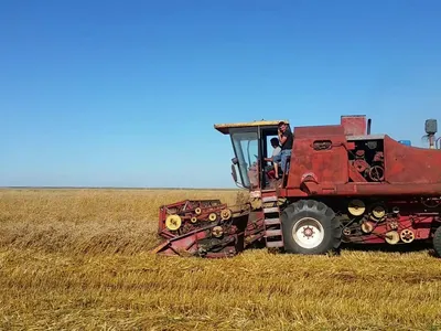 Gloriile agriculturii „Epocii de Aur”, C12 și C14, concurează încă cele mai moderne combine. / Foto: YouTube