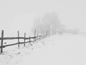 METEO Cum va fi vremea până în luna ianuarie? Temperaturile sunt într-o ușoară creștere Foto: Freepik (fotografie cu caracter ilustrativ)