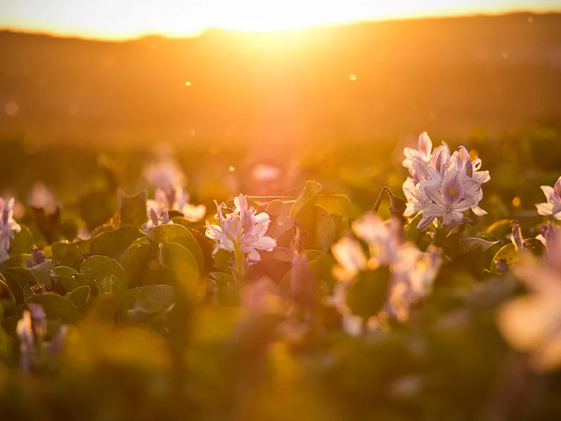 Val de caniculă fără precedent în vestul Europei. Temperaturi de peste 53 de grade în Spania/FOTO: Unsplash