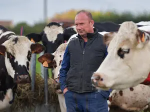 Pune în dificultate unele afaceri românești. Eticheta laptelui va conține locul unde a păscut vaca - Foto: Profimedia Images