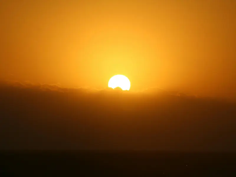 VREMEA Temperaturi de 40 de grade la umbră. Care sunt județele afectate de toropeală Foto: Pexels (fotografie cu caracter ilustrativ)