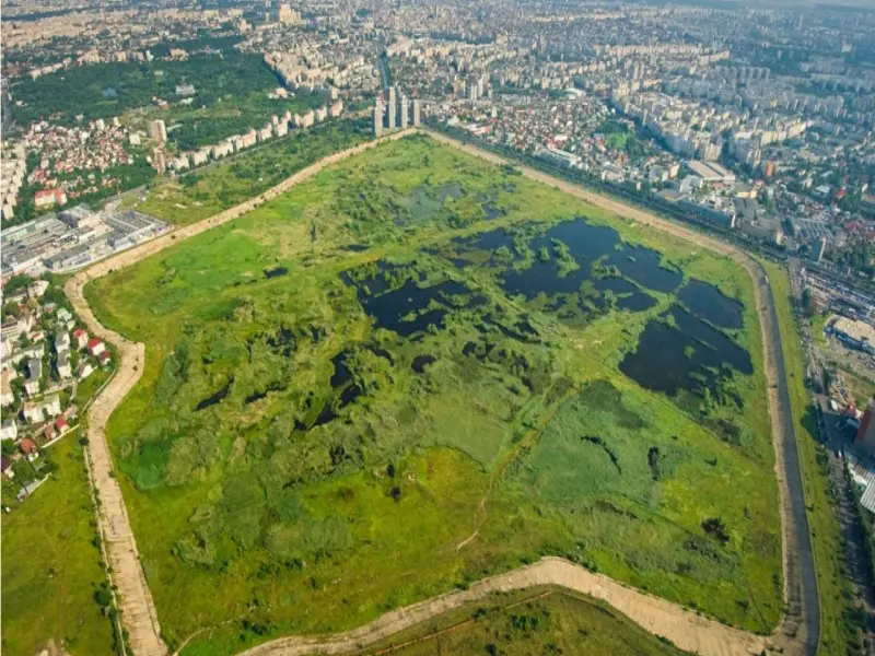 Foto Asociația Parcul Natural Văcărești