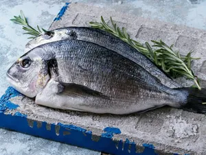 Șpagă un pește - FOTO: BBC