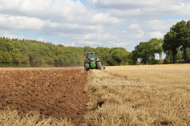 Ministerul Agriculturii anunţă că peste un miliard de euro au fost rambursaţi de CE pentru fermieri/FOTO: Unsplash