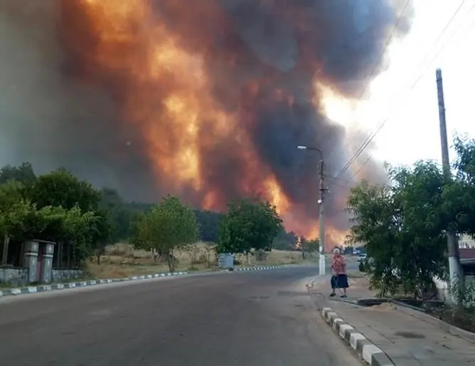 Incendiile de pădure fac ravagii în sudul Bulgariei. FOTO: Facebook