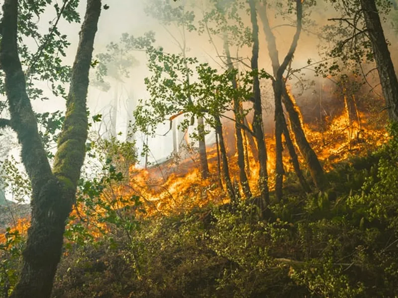 Incendiu de proporții în Parcul Naţional „Porţile de Fier”. Pompierii sunt ajutați si de localnici/FOTO: Unsplash