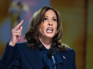 Kamala Harris acceptă nominalizarea istorică a democraților: „Voi fi un președinte pentru toți” - Foto: Profimedia images