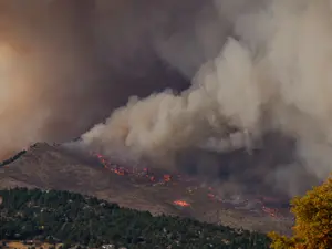 VIDEO Incendiu de proporții izbucnit în sudul Spaniei. 7.000 de persoane evacuate din flăcări/FOTO: Unsplash