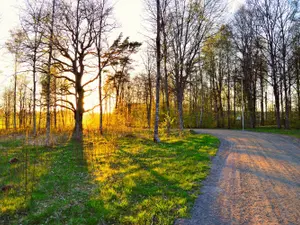 VREMEA De Crăciun vom purta hainele de primăvară. Ce temperaturi sunt înregistrate în ziua de Ajun Foto: Pexels (fotografie cu caracter ilustrativ)