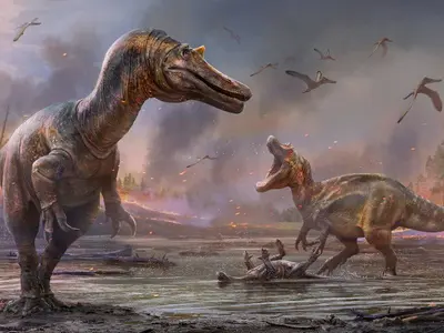 Două noi specii de dinozaur, descoperite pe Insula Wight. Ar fi trăit acum 125 de milioane de ani. / Foto: bbc.com