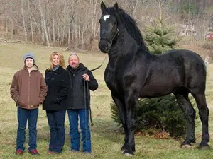 Imagini cu animale gigant. Multe dintre ele sunt specii obișnuite însă au dimensiuni foarte mari Foto: stableexpress.com (fotografie cu caracter ilustrativ)