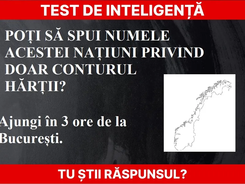 Test de inteligență Foto: Newsweek