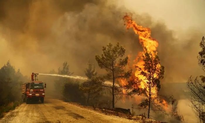 Sudul Bulgariei, pârjolit de secetă și caniculă: incendii de vegetație în mai multe zone. / Foto: theguardian.com