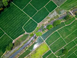 Tranzacțiile de terenuri vor putea fi făcute pe o aplicație. Vor fi trecute într-un registru unic Foto: Pexels (fotografie cu caracter ilustrativ)