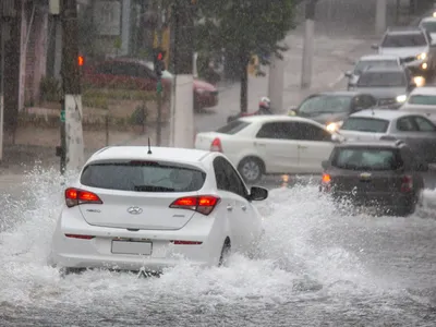 S-au rupt norii în Capitală. Vijelia a smuls zeci de copaci din rădăcini. 71 de mașini, distruse - Foto: Profimedia images - Caracter ilustrativ