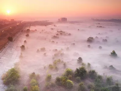 Parcul Natural Delta Văcărești/FOTO: Helmut Ignat