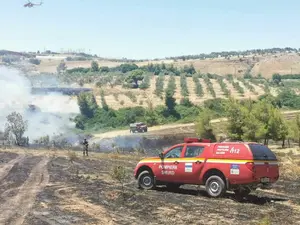 Pompierii români intervin iar în Grecia, lângă Atena Foto: DSU