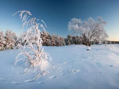 VREMEA după ce s-au oprit ninsorile. Gerul va lovi trei zile consecutive cu temperaturi extreme - Foto: Observator / imagine cu caracter ilustrativ