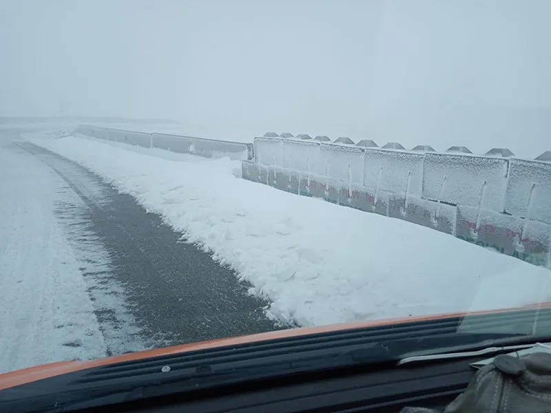 Transalpina / Foto: DRDP Craiova