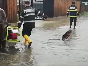 Inundații în vestul țării/FOTO: facebook.com