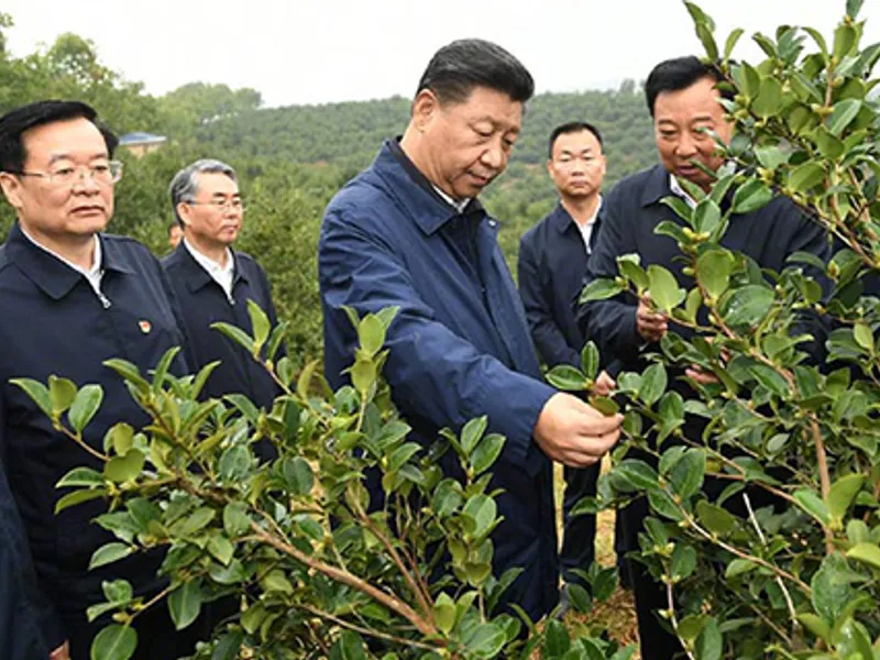 Președintele Chinei, Xi Jinping Foto: Facebook