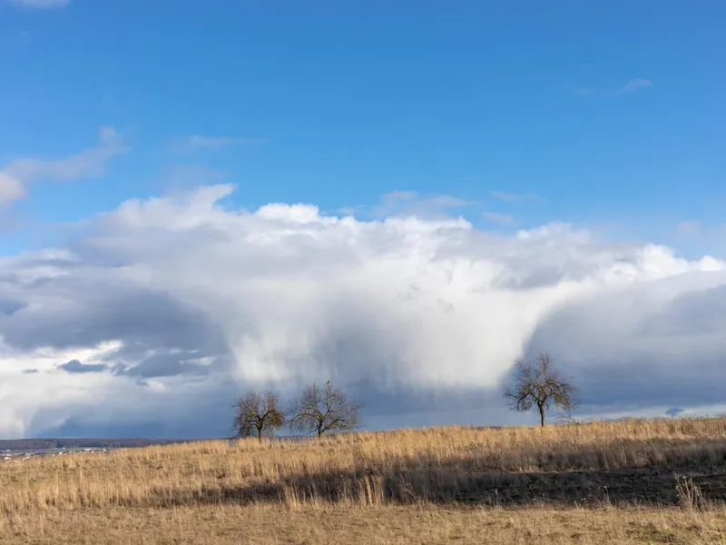 METEO 14 județe vor fi lovite de COD portocaliu de vânt. Rafalele vor ajunge la 85 km/h Foto: Freepik (fotografie cu caracter ilustrativ)