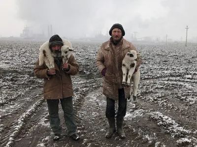 Imaginea premiată, intitulată ''Transylvanian Shepherds'', cu un telefon iPhone 7. / Foto: ippawards.com