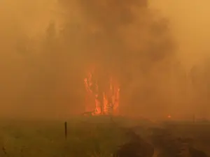 Incendiile din Siberia par scăpate de sub control. FOTO: Twitter