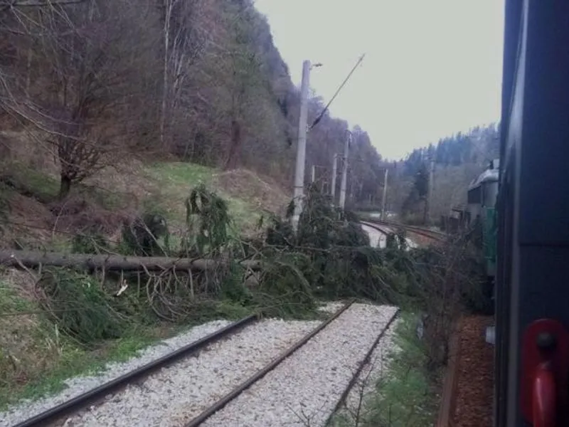 Trafic feroviar întrerupt, din cauza copacilor căzuți pe șine și a vremii nefavorabile. / Foto: digi24.ro