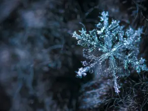 Vom mai vedea zăpadă doar în filme. Ce spun fizicienii despre iernile din următorii ani Foto: Pexels (fotografie cu caracter ilsutrativ)