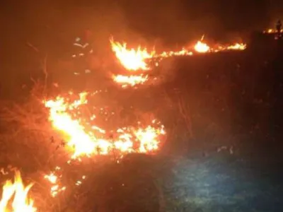 Incendiu puternic în Timiș! Ard 100 de hectare de vegetație uscată. Pompierii se luptă cu flăcările - Foto: ISU Timiș