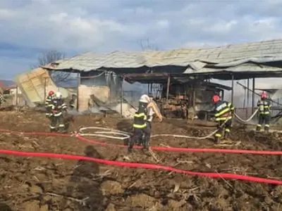 Pericol de explozie. Incendiu la o hală care e învecinată cu un depozit de azotat de amoniu - Foto: Alba24