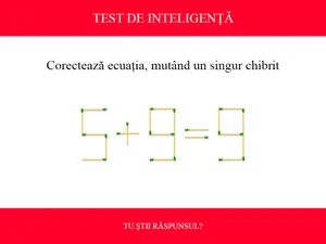 TEST DE INTELIGENȚĂ Corectează ecuația 5+9=9, mutând doar un chibrit. Ai 10 secunde - Foto: Colaj Newsweek / mindyourlogic.com