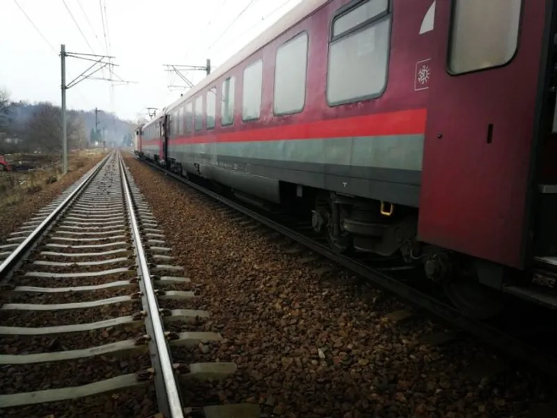 Cal rămas blocat între șine, lângă Sibiu. Un tren de persoane de la Caracal a fost oprit în câmp. /Foto: realitateadebrasov.net