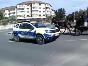 O căruță dă nas în nas cu mașina Poliției în giratoriu, pe cotrasens, în mijlocul orașului. / Foto: captură video