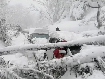 21 de turiști blocați în mașini au murit de frig /foto: reuters