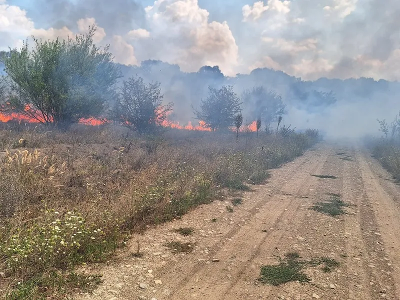 Incendiu în zona de nord a Capitalei Foto: ISU București-Ilfov