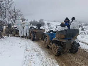 Motivul pentru care patru turiști au fost amendați de jandarmi în Munții Gutâi? Căutau adrenalină - Foto: Arhiva / imagine cu rol ilustrativ